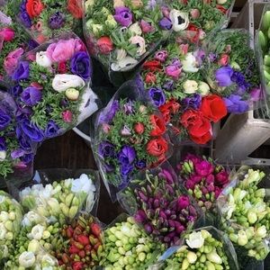 Meet your Posher, Silvana